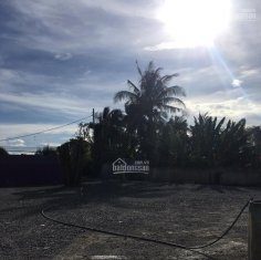 Cho Thuê Mặt Bằng Giết Mổ Gia Súc, Gia Cầm, Tại Thị Xã Gò Công, Tiền Giang, LH C.Giang 0919 609 597