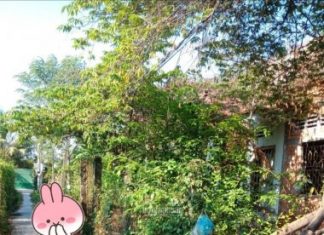ĐBán đất thổ cư - Giá Tốt.. Ấp 2, xã Đạo Thạnh - tp Mỹ Tho - TG