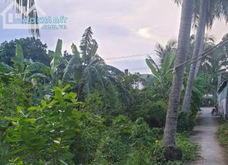 Đất 2 mặt tiền, đầu tư siêu lợi nhuận chỉ 1,5tỷ 630m2 - 0